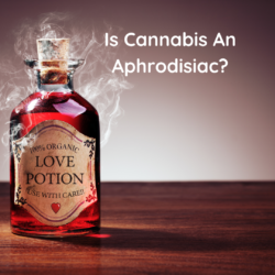Is Cannabis an aphrodisiac?