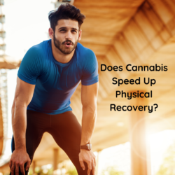 Does Cannabis Help Physical Recovery from Exercise?