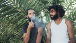 friends using weed to improve social experiences