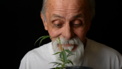 man with cannabis plant