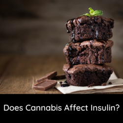 Does Cannabis Affect Insulin?