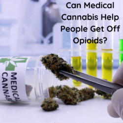 Can Cannabis Help Get People Off Opioids?