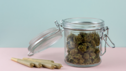 Weed stored in a glass jar so it won't go bad