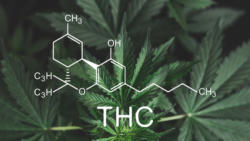 Image of Delta-9-THC against a weed background