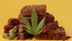 Edibles and weed leaf image for why does weed make you hungry article
