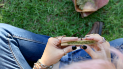 woman rolling a joint of cannabis