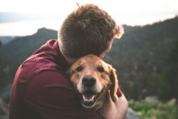 Man hugging a golden retriever dog
