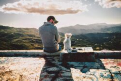 man sitting with dog overlooking view